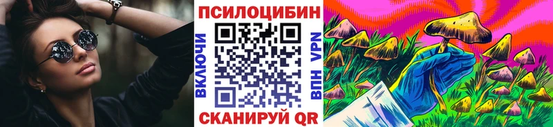 Галлюциногенные грибы Psilocybine cubensis  Новороссийск 