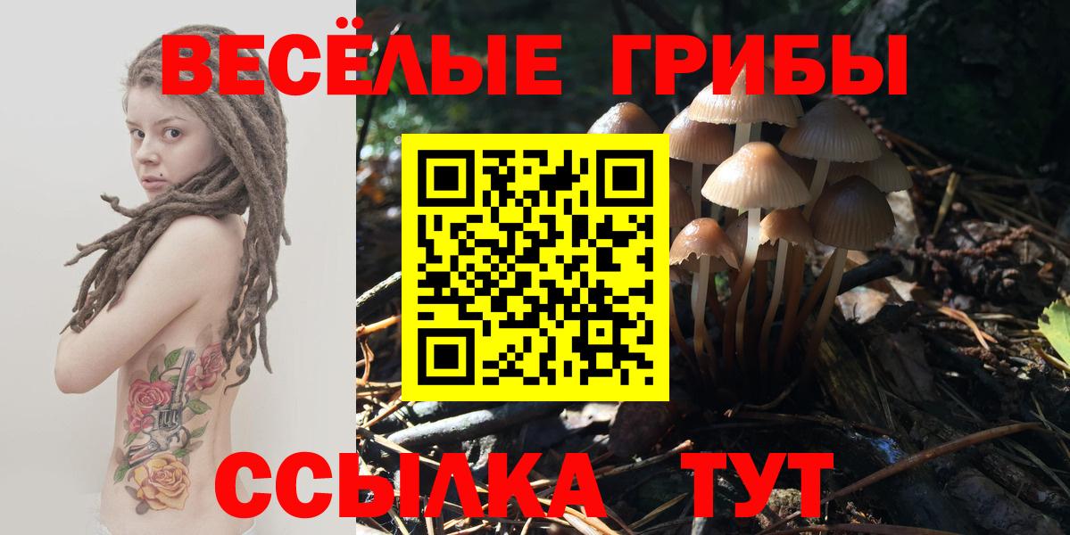 Псилоцибиновые грибы мухоморы Новороссийск
