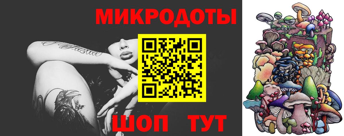Галлюциногенные грибы Psilocybine cubensis  Вход с VPN  Галлюциногенные грибы мицелий  Новороссийск 